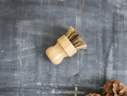 Zero Waste Kitchen Brush Set - Handy Kit